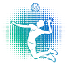 Volleyeurs Volley-ball masculin