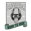 Bikers, motorcyclists