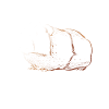 Furry Potato