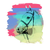 pferdekopf,pferd,aquarell,pink,malerei,schimmel