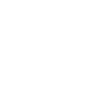 Bison Buffalo Yellowstone Park