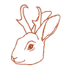 Jackalope Head Jack Rabbit