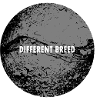 Differnet