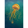 Jellyballoon
