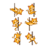 Cute Cats Pole Dancing Funny Pole Dancer