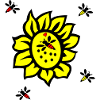 Sonnenblume, Bienen