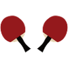 2x table tennis bats