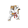 Karate Tiger - Karate Japan Fighting