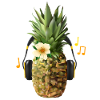 Best-seller Pineapple Design