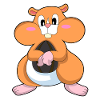 Hamster aux noix