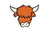 Easily Distracted By Highland Cows