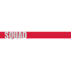 Beam Squad Leader Team