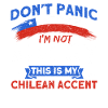 My Chilean Accent Chile Souvenir