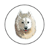 Samoyed Dog Aquarelle Sketch Illustration