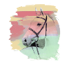 pferdekopf,pferd,aquarell,pink, schimmel,pastell