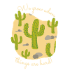 yellow desert background saguaro cactus