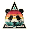 Rainbow Panda Prism