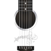 Guitar musicians