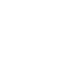 Young Black Homeowner