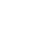 Dinosaur Dino Paleonthologist