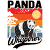 Panda Flüsterer Panda Whisperer