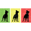 Dog owner