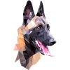 portrait dog malinois