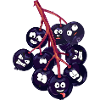 Elder