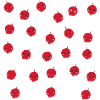 Cranberry