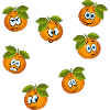 Citrus tangerina