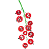 Currants