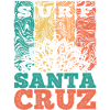 Santa Cruz Surf