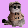 Katze 2