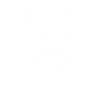 Cattledog
