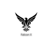 Falcon X