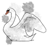 Schwan
