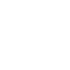 Lion- Love Animals