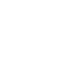 Human Evolution Violin