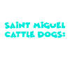 Saint Miguel Cattle Dogs