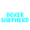 Boxer Shepherd