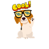 Dog Cool
