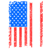 Texas Usa flags gift