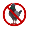 I Hate Pigeons Anti Pigeon