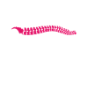 Assistant chiropratique au chiropraticien
