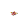 Chiropractic Assistant Chiropractic Assistant