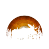 Moose and a sunset
