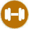 Bodybuilding - Weightlifting - Fitness - Workout