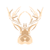 Jackalope Head Gift