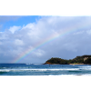 Manly Rainbow