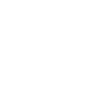 gendre idéal